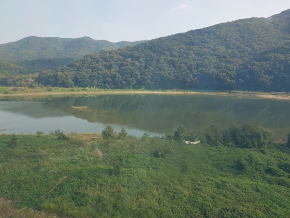 세종다방 이미지
