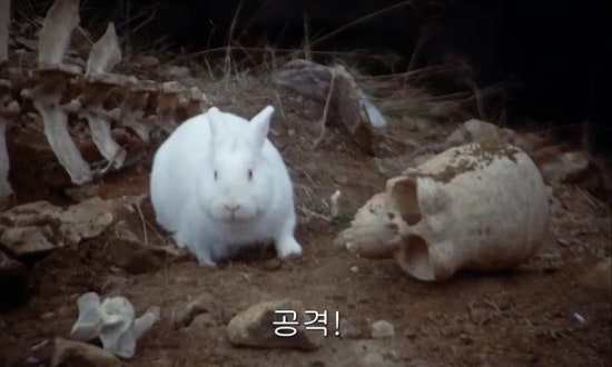 알비스 이미지