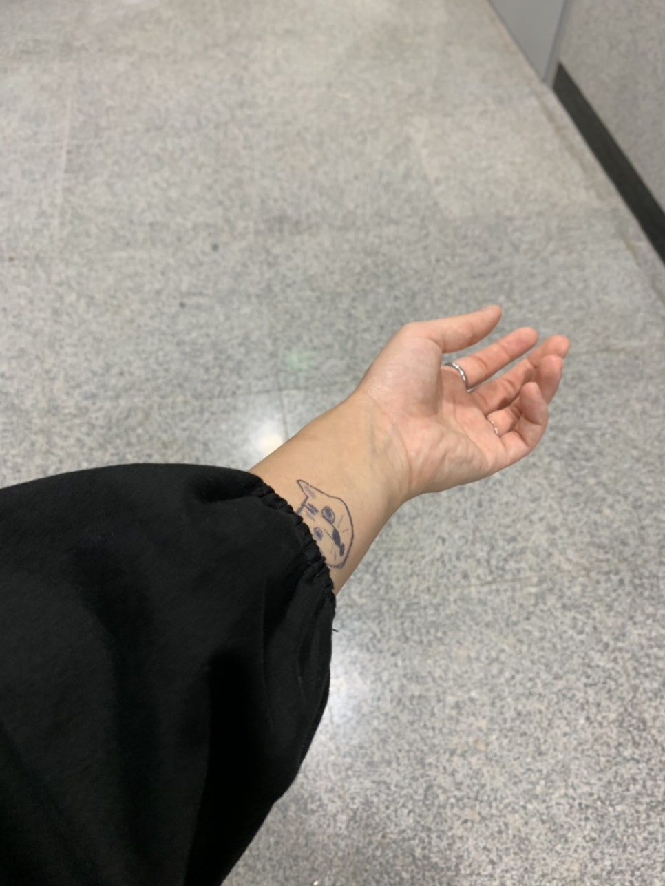 잇와플6호차 이미지