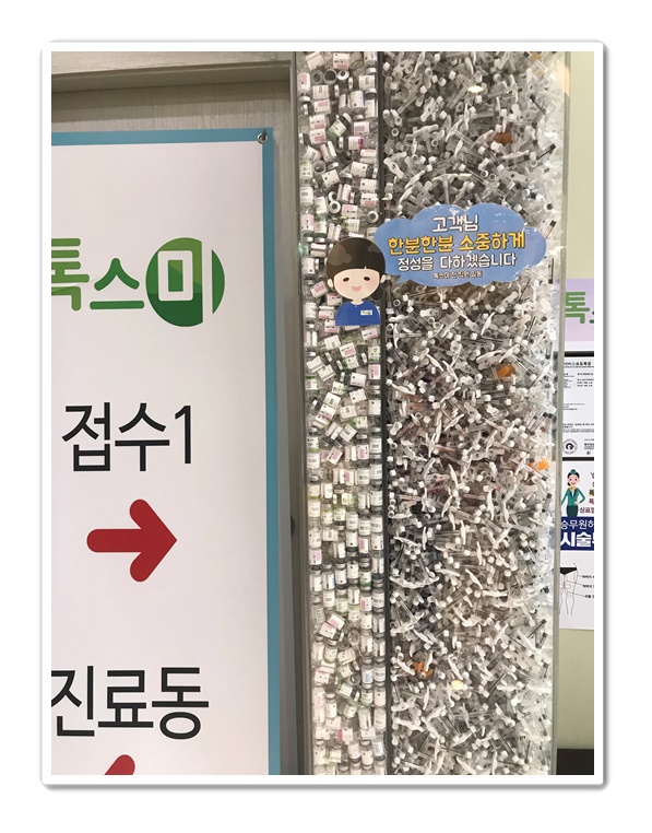 집톡스 이미지