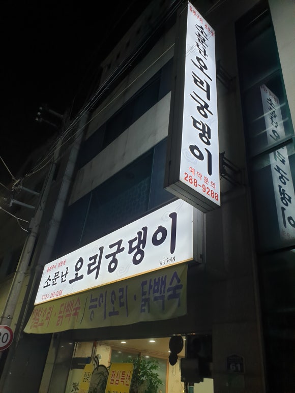 오리궁댕이 이미지