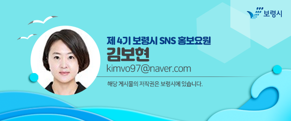 [국도36] 보령시 향천리 이미지