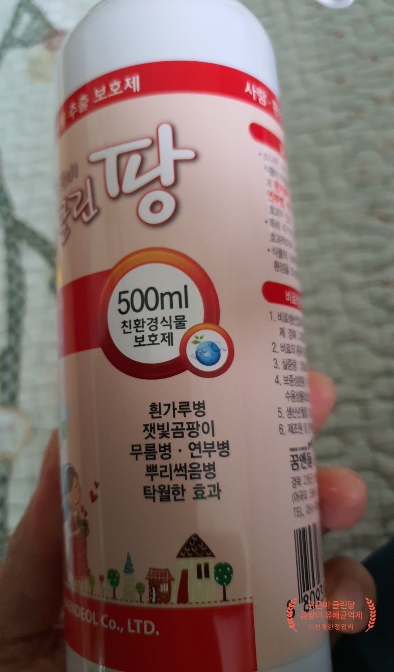 클린팡 이미지