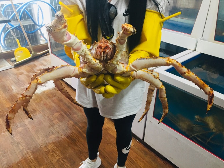 매니아수족관 이미지