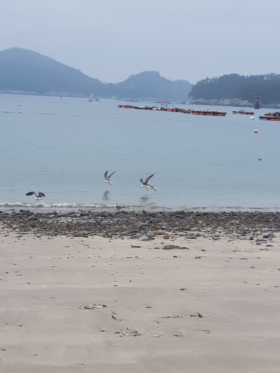 남해미조잠수 그리고 펜션 이미지