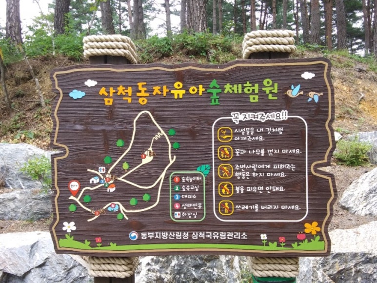삼척동자 유아숲체험원 이미지