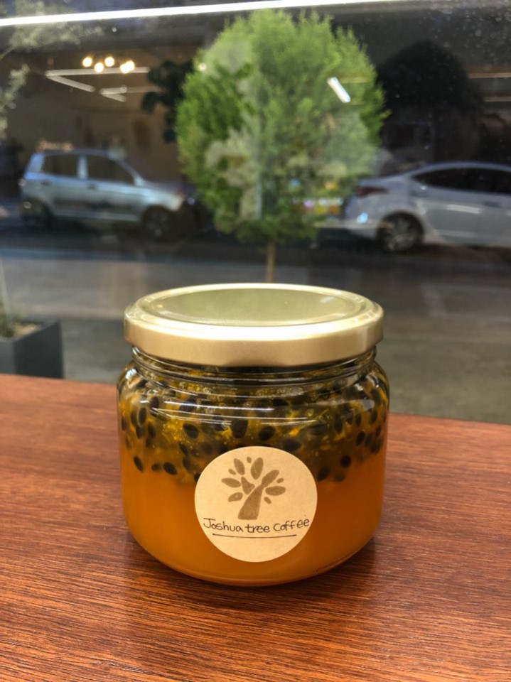 커피트리(COFFEE TREE) 이미지
