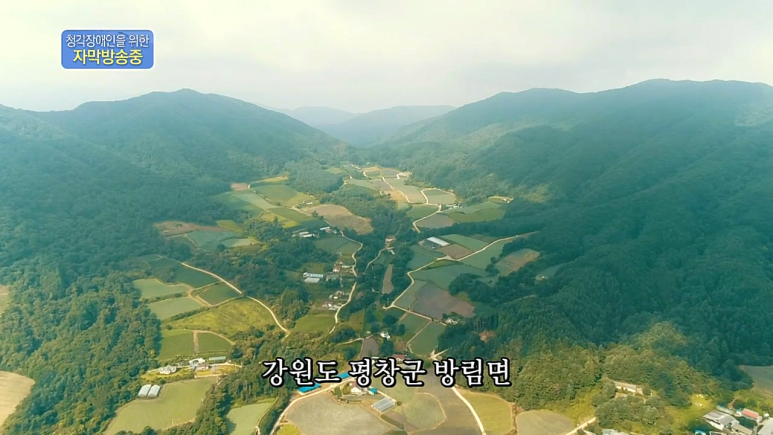 (주)레스 이미지