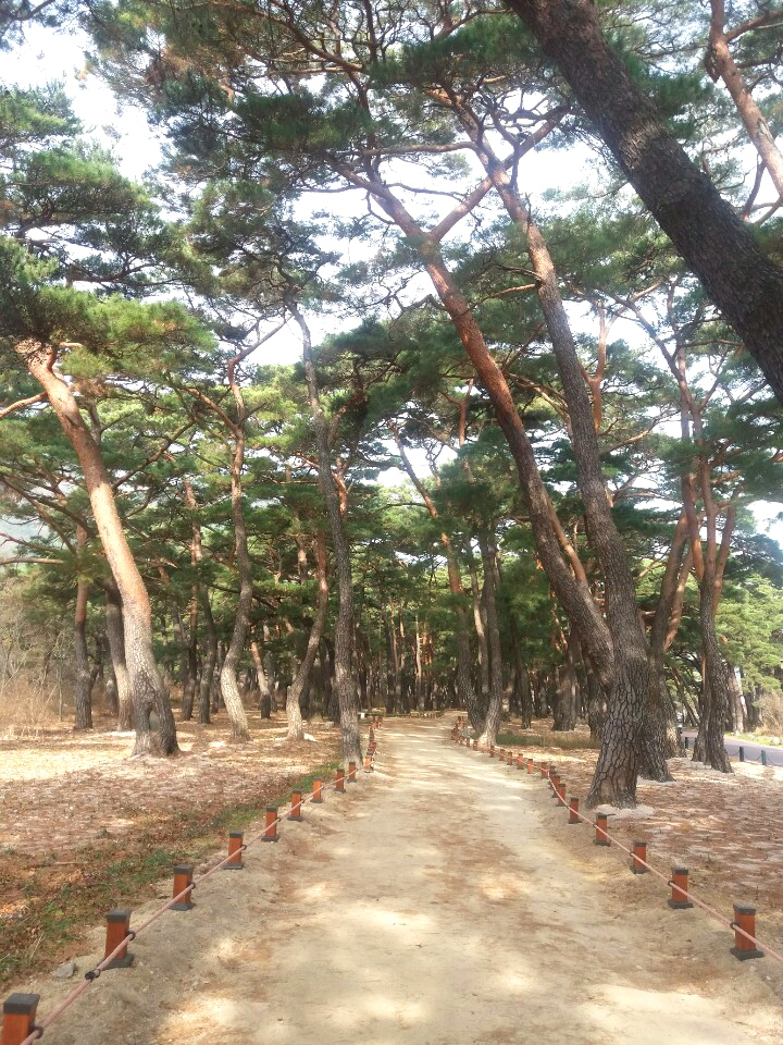 운문파크랜드 이미지