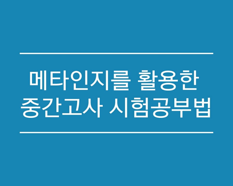 메타1976 이미지