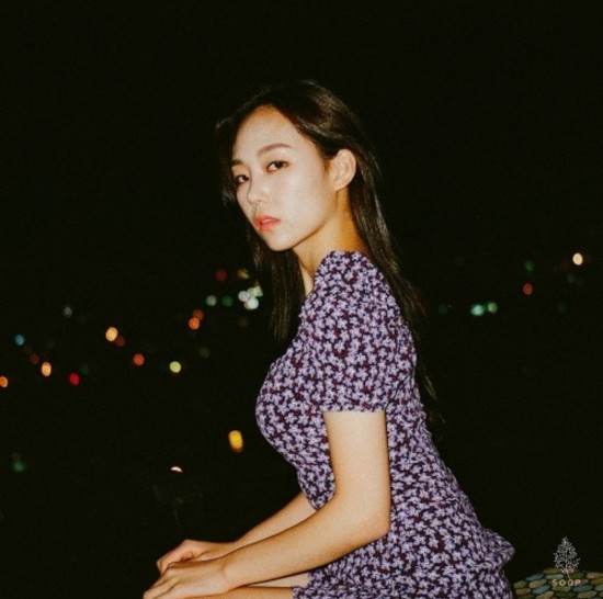 노르웨이숲 이미지