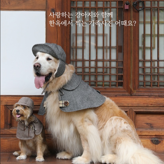 복합한옥공간곳 이미지