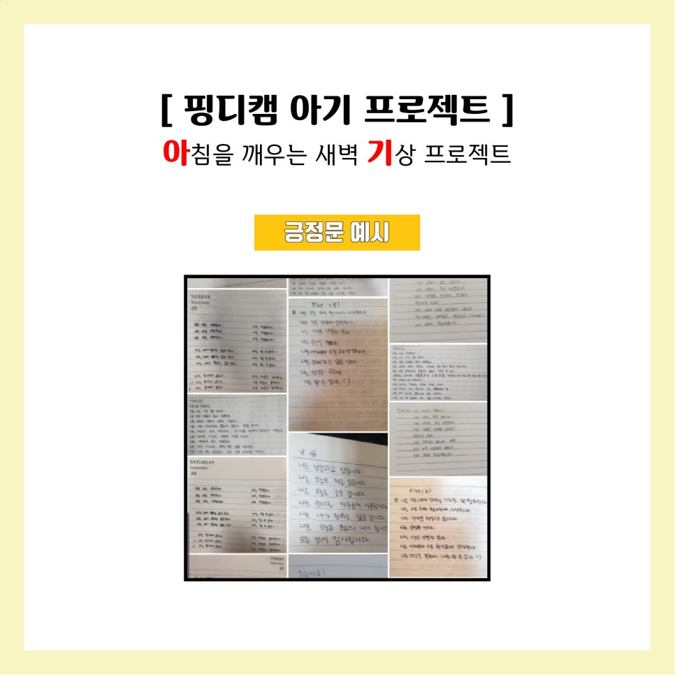 디캠 이미지
