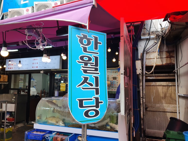 한월 이미지