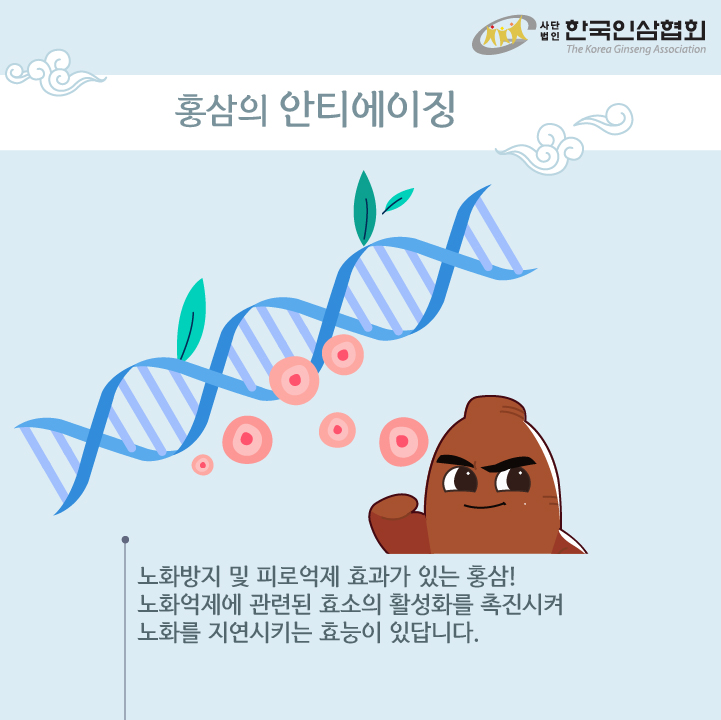 홍익홍삼 이미지