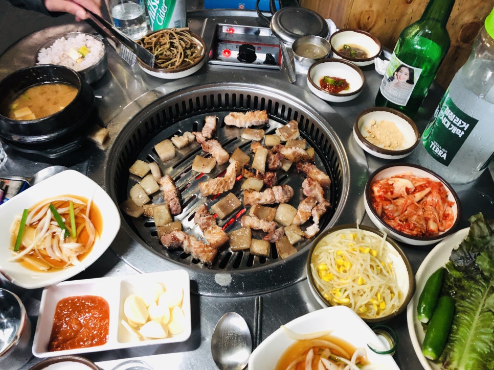 도새기짱 이미지