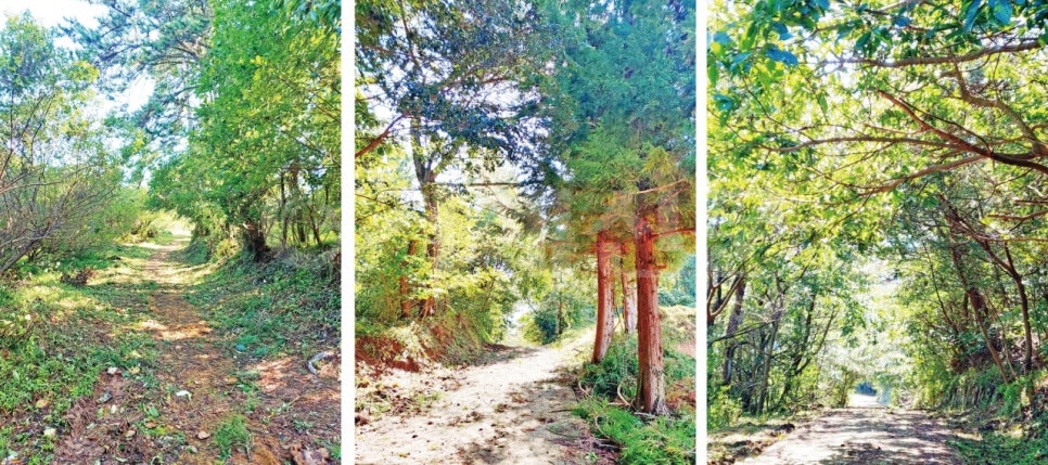 실리수산 이미지