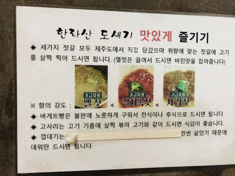 도새기짱 이미지