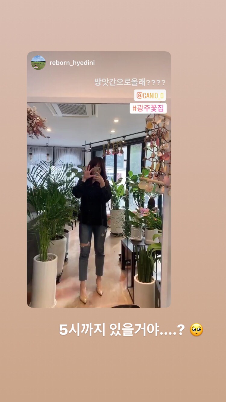 양다린 이미지