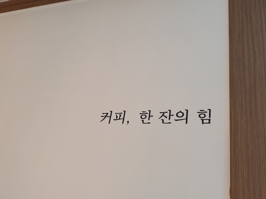 환이 이미지