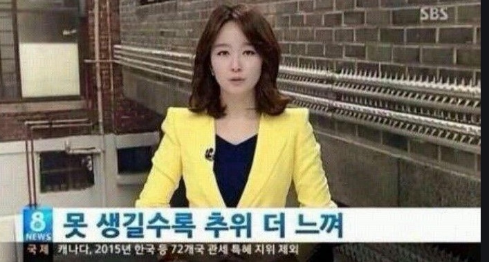 신일전기 이미지