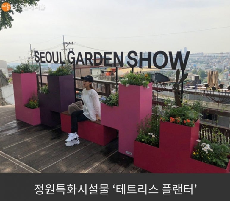해방촌마을정원사 이미지