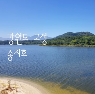 콜렌트카 이미지