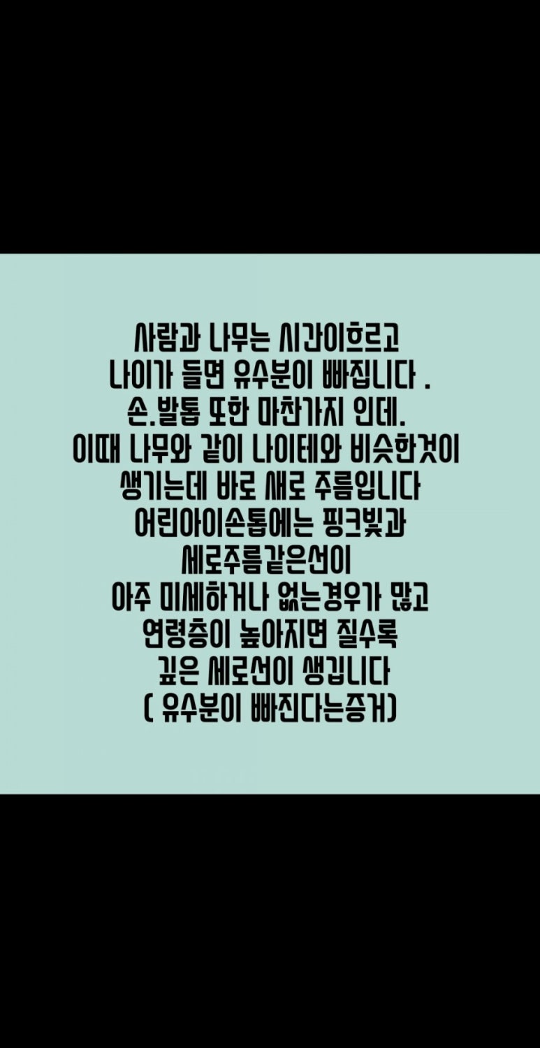 더샵네일in 이미지