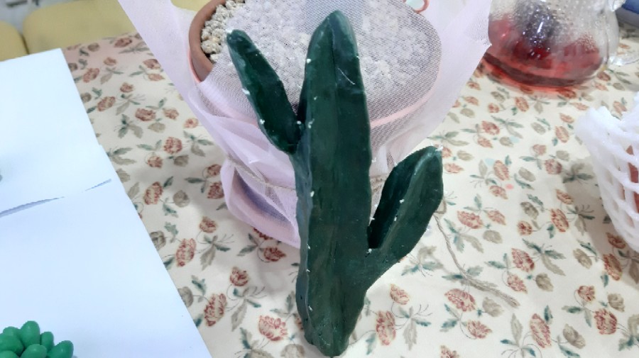 다육이공방 이미지