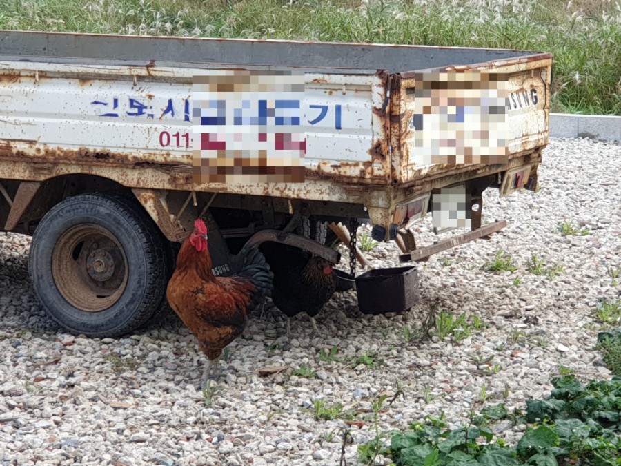 야무진 이미지