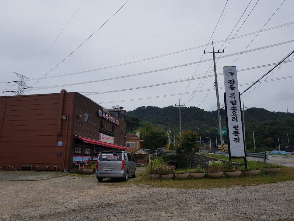 고산흑염소 이미지