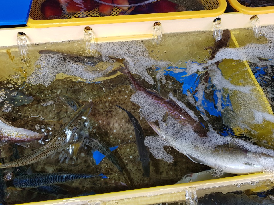 외옹치횟집 이미지