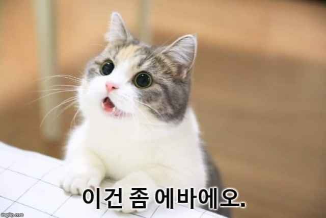 라공방 이미지
