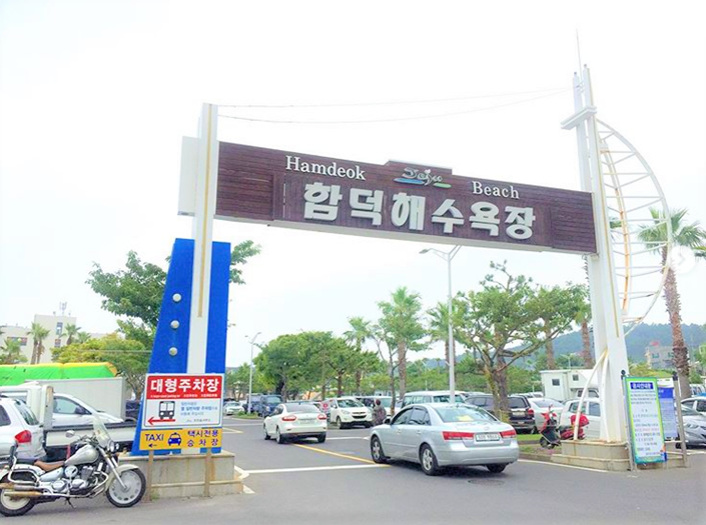아모렉스 이미지