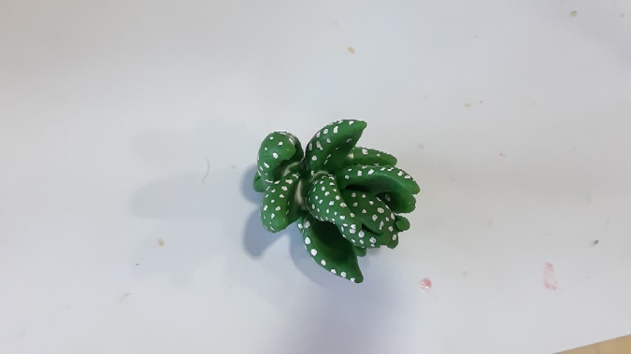 다육이공방 이미지