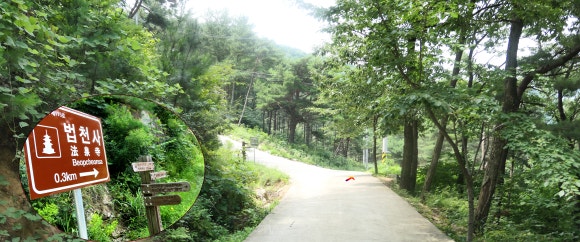 새동네다방 이미지