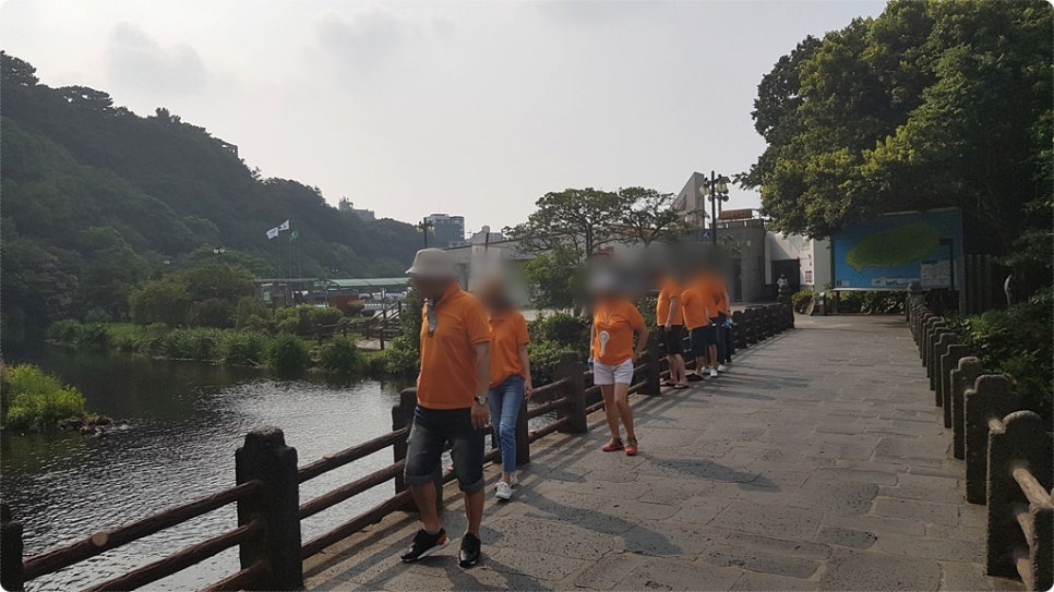 제주미니버스투어 이미지