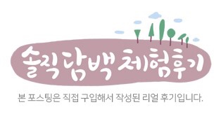 서프라이즈 시티 이미지