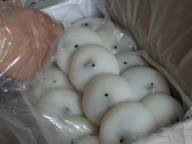 강릉떡집 이미지