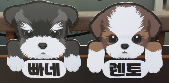 빠네렌토 이미지