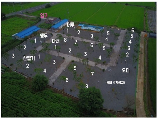DMZ캠핑장 이미지