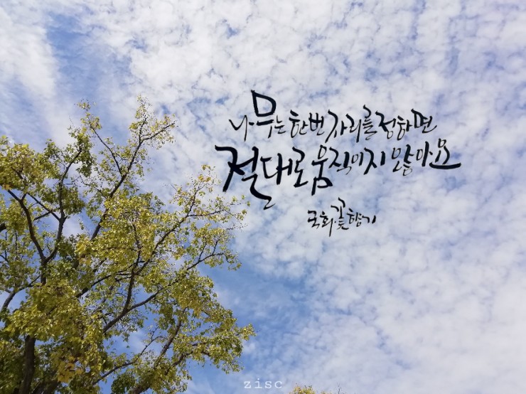 지인심캘리그라피 이미지