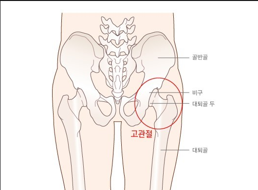 햇빛좋은피티 이미지