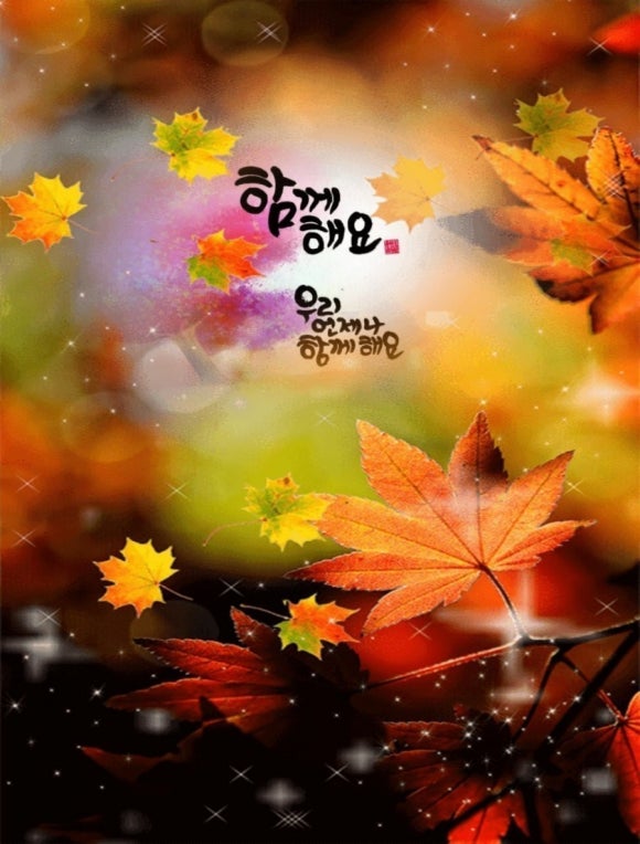 별밤지기 이미지