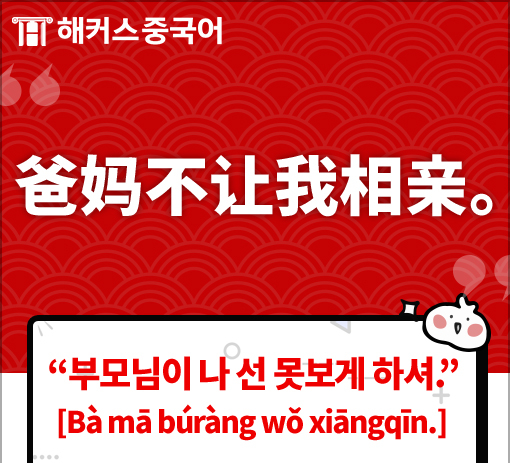 선보래 이미지