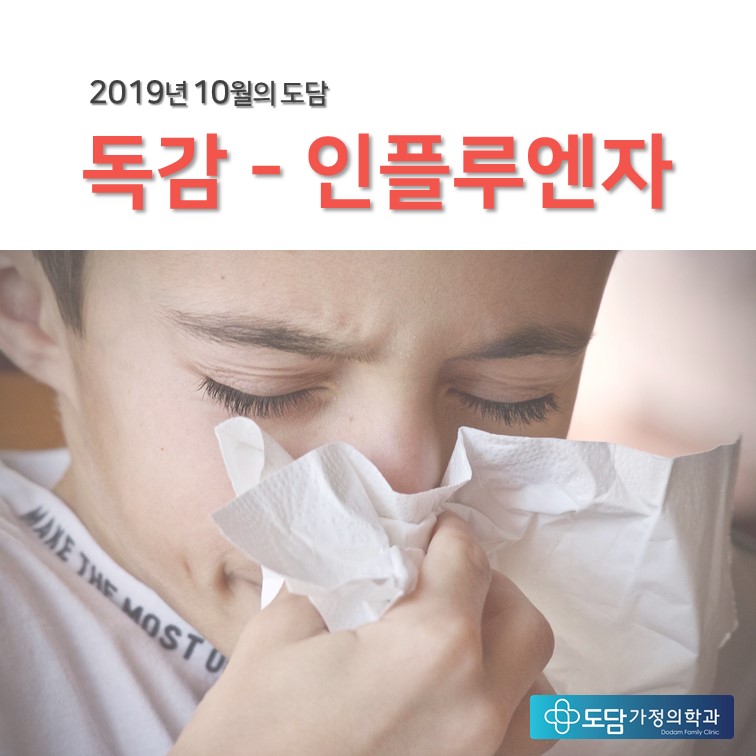 도담인력 이미지