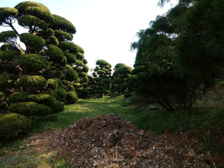 동진조경 이미지