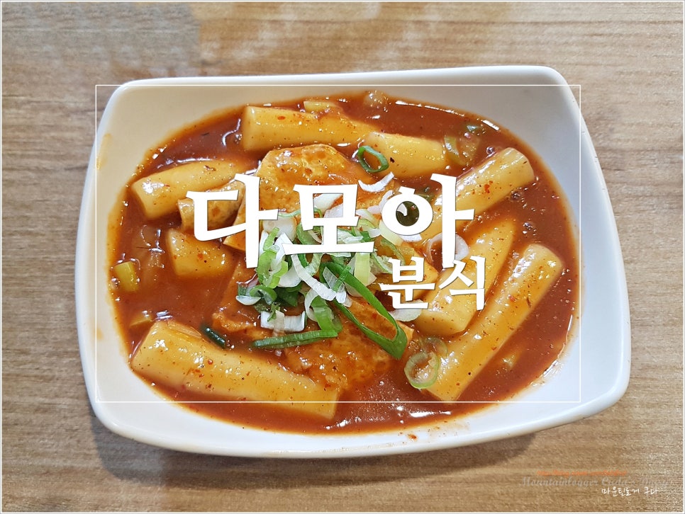다모아투어 이미지