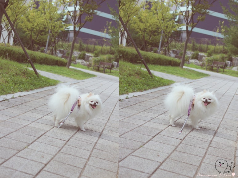 구워담다 이미지