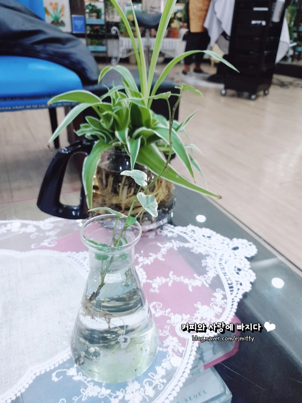 홍헤어샵 이미지